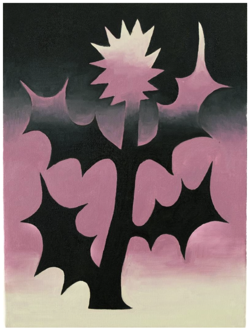 Eoin Dennis
Thistle, 2024    $200
11 x 16 in, Oil on Canvas


